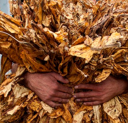 agroquimicos rejol