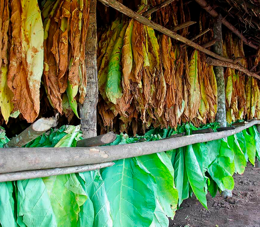 agroquimicos rejol